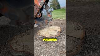 This Machine Is Best For Grinding Stumps 🌳🌲youtubeshorts youtube [upl. by Ohl]