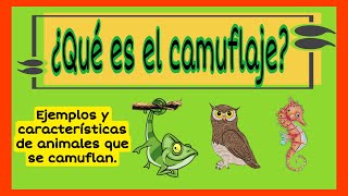 Animales camuflados 🐆🐊🦉🐇 Queeselcamuflaje Aprendeencasa [upl. by Hilarius]