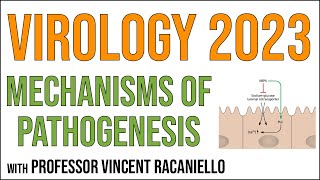 Virology Lectures 2023 15 Mechanisms of pathogenesis [upl. by Assilla469]