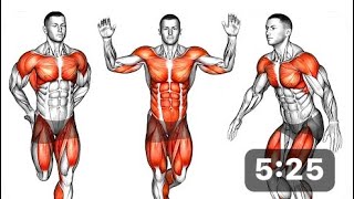 5 Minute Standing Full Body Workout [upl. by Ettedo]