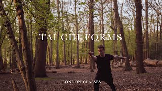 Wudang Tai Chi forms classes [upl. by Hannaj]