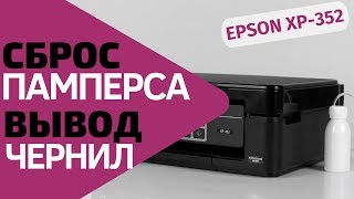 Сброс памперса и вывод отработанных чернил для Epson XP [upl. by Hammerskjold825]