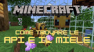 API COME TROVARLE E A COSA SERVONO  Tutorial Minecraft ITA [upl. by Sivet]