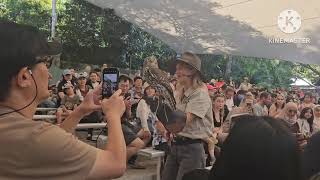 Currumbin Wildlife Sanctuary birds show [upl. by Nya876]