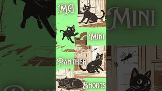 MG Mini Panther Shorts 1 blackcat [upl. by Marquis633]