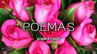 Poemas  grupo bryndis letra [upl. by Nnylarak]