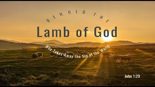 The Lamb of God [upl. by Hardner818]