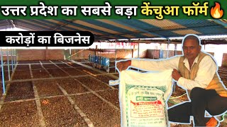 करोड़ों की कंपनी बना दी 🔥 Vermicompost Business in India  Kechua Khaad Kaise Banaye [upl. by Aluor92]