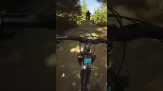 Mountain Biking POV GoPro Footage from The Loam Ranger 053 [upl. by Alamat]