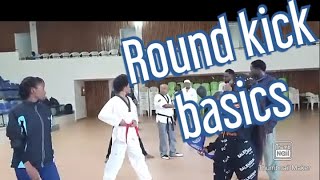 Advanced round kick basics dollyo chagi target work  Part 2 [upl. by Yancey]