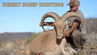 HUNTING DESERT SHEEP amp GIANT AOUDAD RAMS [upl. by Nehgaem612]