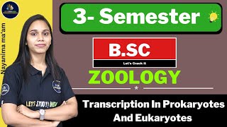 Transcription In Prokaryotes And Eukaryotes  BSc Zoology 3rd Semester  Nayanima Maam [upl. by Lime19]