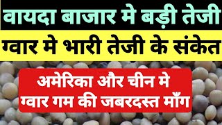 वायदा बाजार मे बड़ी तेजी ग्वार मे भारी तेजी के संकेत अमेरिका चीन मे ग्वार गम की जबरदस्त माँग guar [upl. by Eveivaneg]