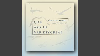 Çok Aşığın Var Diyorlar [upl. by Anina]