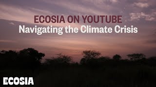 Welcome to Ecosia  Trees and the Climate Crisis Explained [upl. by Fedirko]