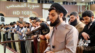 رعد محمد الكردي سورة القصص كاملة HD1080 [upl. by Bolger]