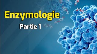 Structure et Caractéristiques des enzymes  Cours Enzymologie partie 1 [upl. by Aruon558]