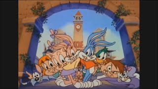 Top 20 My Favorite Tiny Toon Adventures Episodes [upl. by Nrubua432]