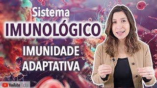 Imunidade Adaptativa Sistema Imunológico  Anatomia etc [upl. by Hedwiga]