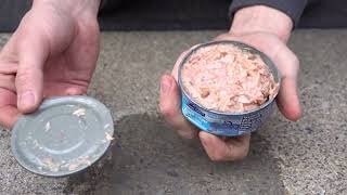 3 Awesome Ways to Open a Can With NO Can Opener [upl. by Esyak885]