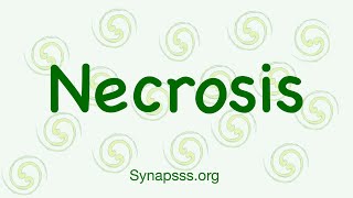 Necrosis definition morphology nuclear changes mechanisms types [upl. by Acinnod]