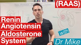 Renin Angiotensin Aldosterone system [upl. by Sahc]