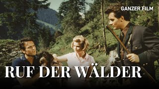 Ruf der Wälder 1965  Ganzer Film  HeimatfilmeTV [upl. by Corel]