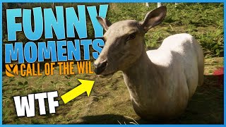 Funny Moments 1  theHunter Call Of The Wild [upl. by Euqinomod]