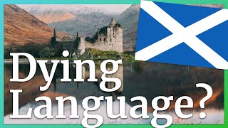 4 Reasons to Learn Scottish Gaelic Gàidhlig 🏴󠁧󠁢󠁳󠁣󠁴󠁿 [upl. by Bertha]