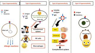 Hypersensitivity types in 4 minutes [upl. by Akimit]