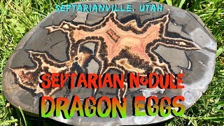 Septarian Nodule Rockhounding Utah [upl. by Susanetta]