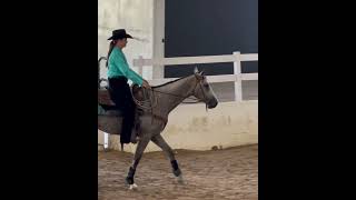 RRP TB Makeover Ranch Horse 2024 Katharine Purdy and Strawman [upl. by Rogergcam419]