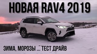 Toyota RAV4 2019 Тест Драйв Обзор Впечатления [upl. by Cramer22]