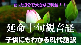 延命十句観音経 超やさしい現代語訳 【３分見るだけで仏教の教えが理解できる？】 [upl. by Jan305]