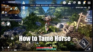 Black Desert Mobile How to Tame Horse [upl. by Tersina]