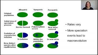 Speciation and macroevolution Part 2 [upl. by Alo478]