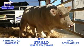 N°75 UTRILLO  EARL DESPLANCHES  JARRET x MAXIMUS [upl. by Lakym]