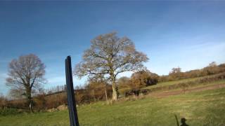 Driven Pheasant and Partridge Shooting  Vale Farms Shoot [upl. by Kire710]