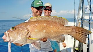 Deep Sea Fishing in Alabama Deep Water Groupers and Snappers [upl. by Otreblif]