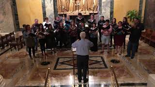 Confitebor tibi Domine Palestrina  Schola Cantorum St Matthew’s Cathedral [upl. by Shaughn]