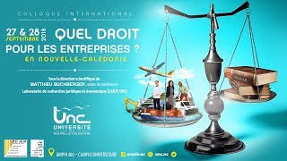 8  Quelles structures juridiques de droit commun pour les entrepreneurs de statut coutumier [upl. by Leamse]