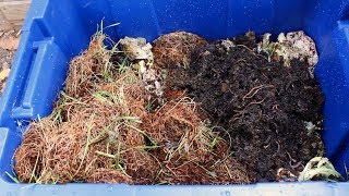 How to Make a Worm Bin  Easy DIY Worm Farm [upl. by Orit]