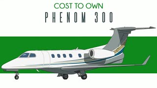 Phenom 300  The most one pilot can do [upl. by Aninep]