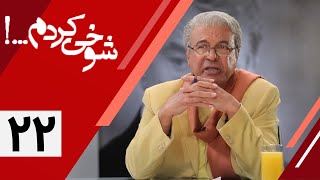 Serial Shookhi Kardam  Part 22  سریال شوخی کردم  قسمت 22 [upl. by Cale]