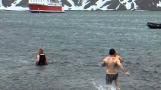 Polar Plunge at Whalers Bay  Deception Island  Antarctica  November 2010 [upl. by Ahsile752]