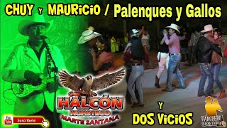 Trio Halcón Huasteco  Chuy y Mauricio Palenques y Gallos 🐓Dos Vicios 🐴 [upl. by Letnohs]