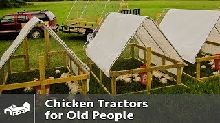 Chicken Tractors For Old People  AMA S5E2 [upl. by Enilegna]