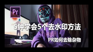 【PR教程】五分钟快速学会，五个去水印方法！PR如何去除杂物 [upl. by Natek]