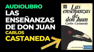 AUDIOLIBRO ENSEÑANZAS DE DON JUAN  Carlos Castaneda Audiobook Completo en Español [upl. by Annaujat983]