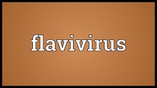 Flavivirus Meaning [upl. by Enylecoj]